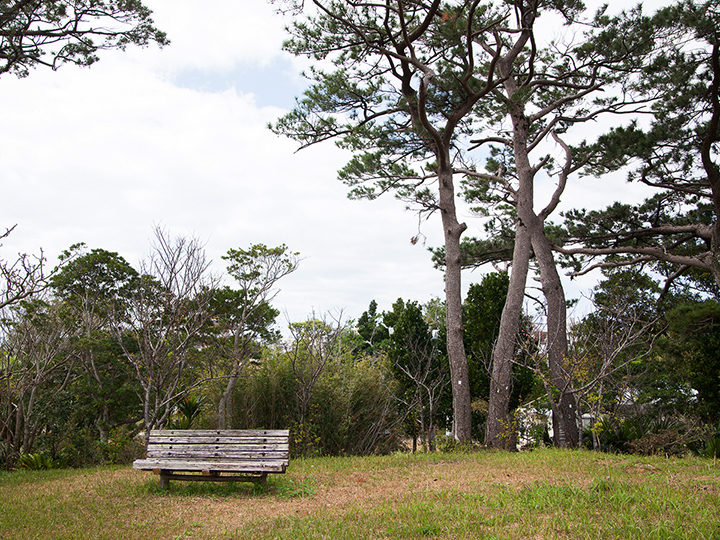 モーシヌ森公園／ティーダガー