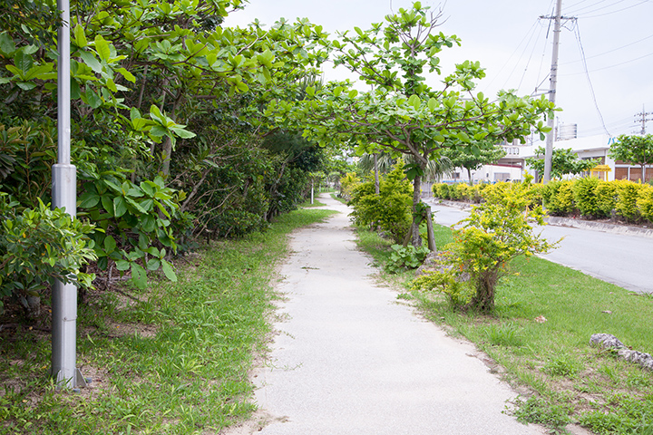 伊芸海浜公園