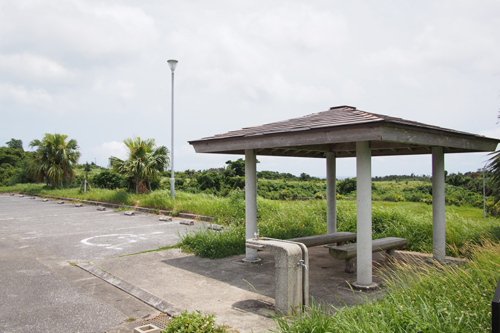 ふれあいの森公園