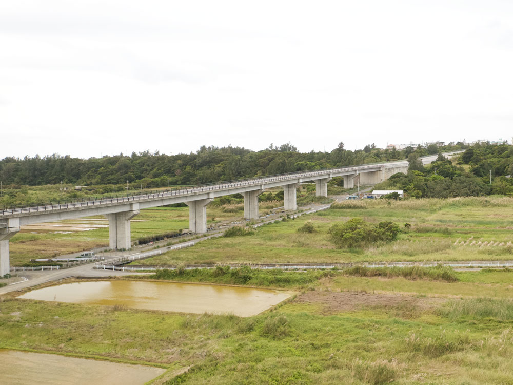 金武町の水田