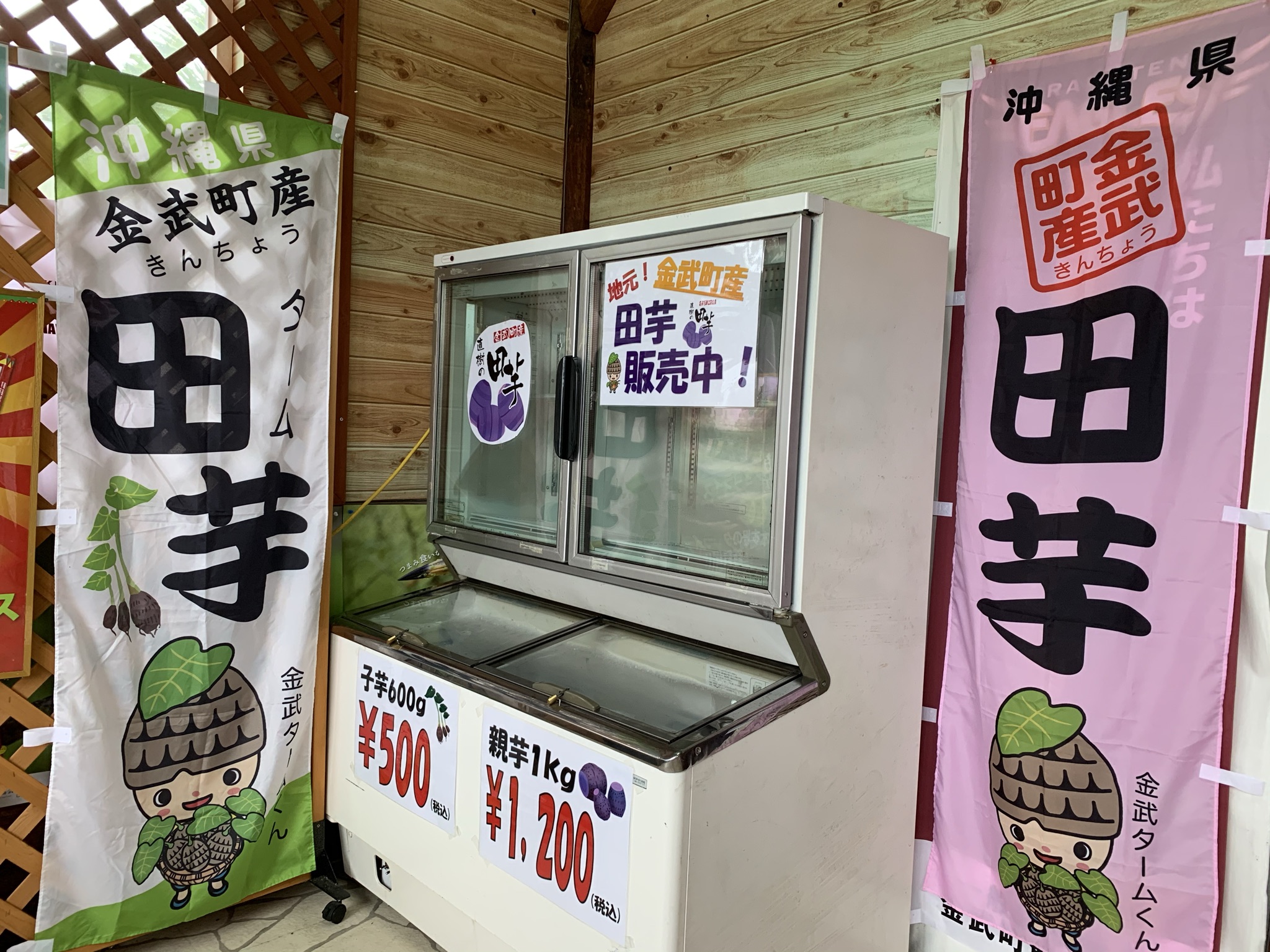 金武町観光協会で田芋が買えるようになりました 金武町観光ポータルサイト ビジット金武タウン