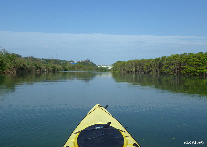 Mangrove Canoe Experience (in Fukurasha)
