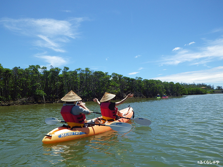 Mangrove Canoe Experience (in Fukurasha)