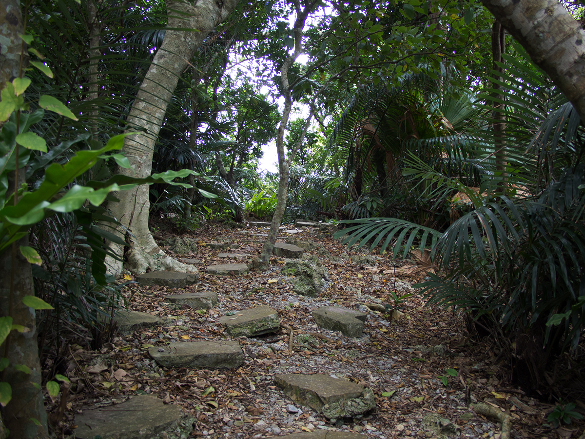 Tumusuzu Sacred Grove