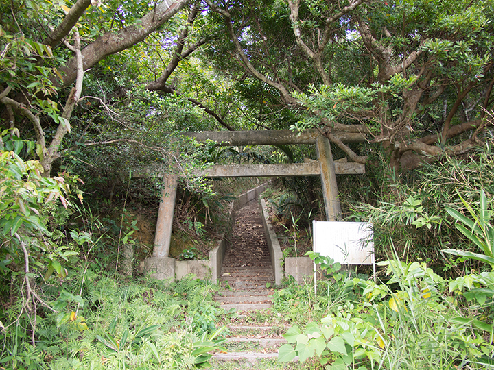 Yoribusano Sacred Grove