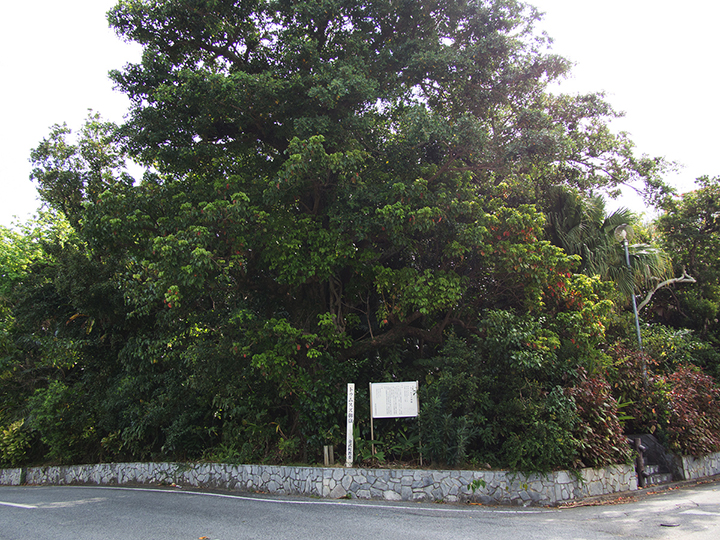 Tumusuzu Sacred Grove