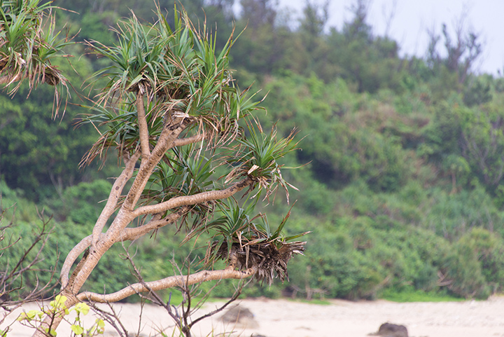 Blue Beach