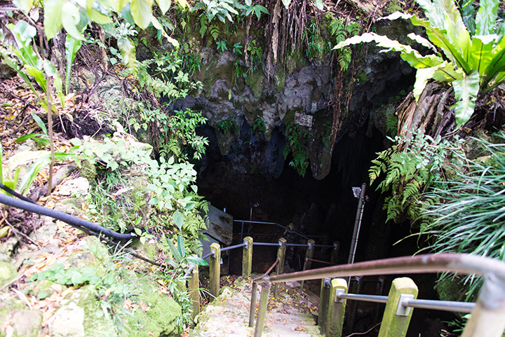 Nisshudo Cave