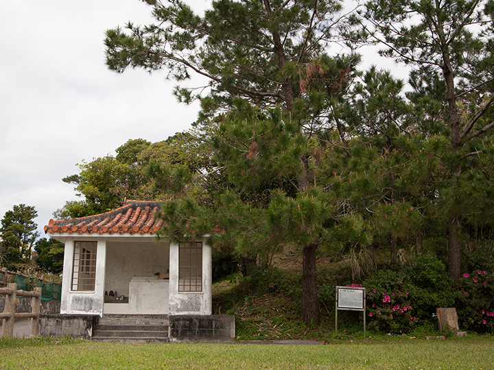 Moshinu Forest Park / Tidanga