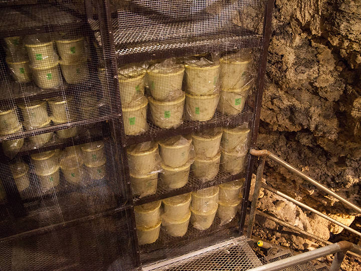 Sake cellar in Kin Limestone cave