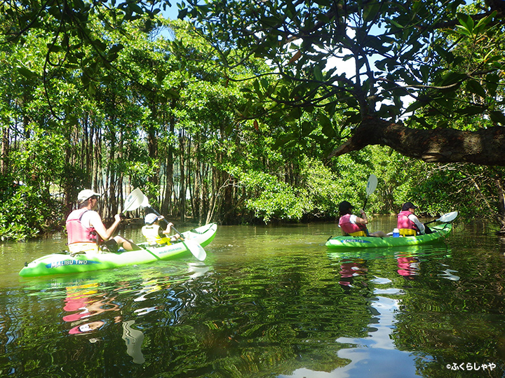Mangrove Canoe Experience (in Fukurasha)