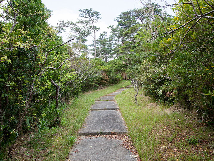 Sukumui Sacred Grove