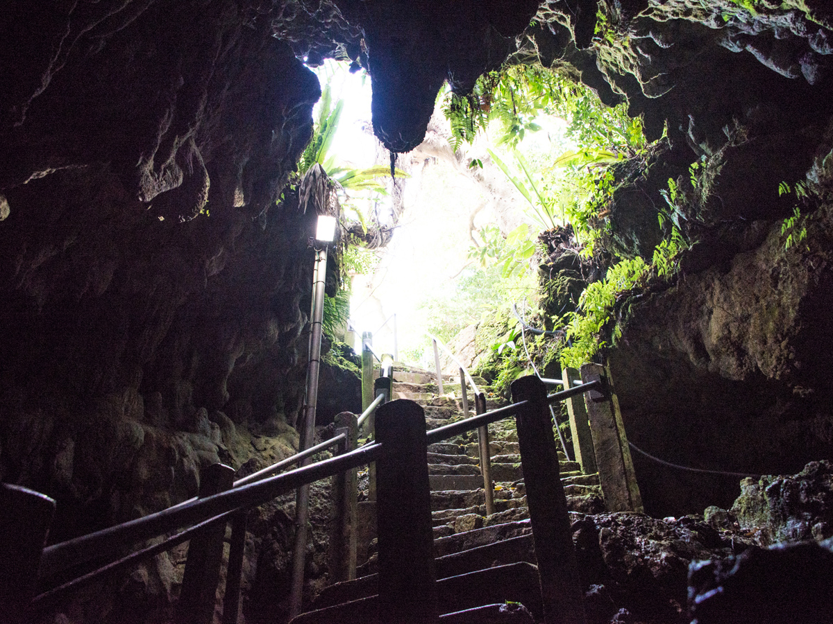 Caverna Nisshudo