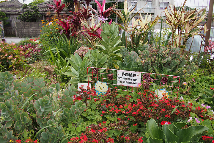 Parque infantil de Kin